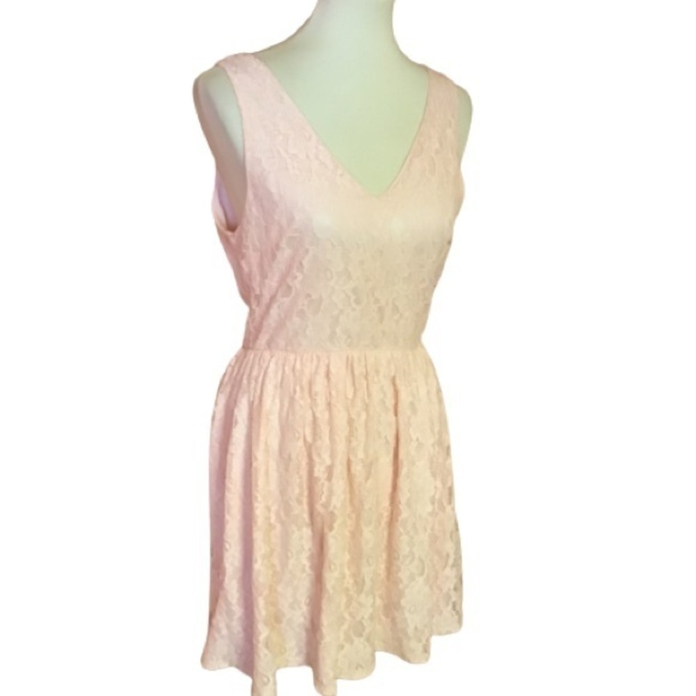 Dainty Hooligan feminine Pink lace fit n flare dress